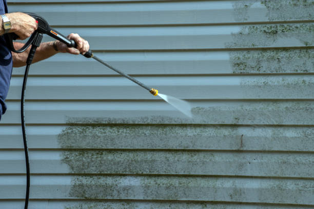 Best House Exterior Washing  in Pelican Rapids, MN